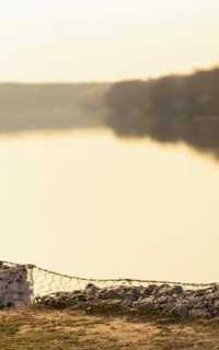 Шлюха Нелли 26323